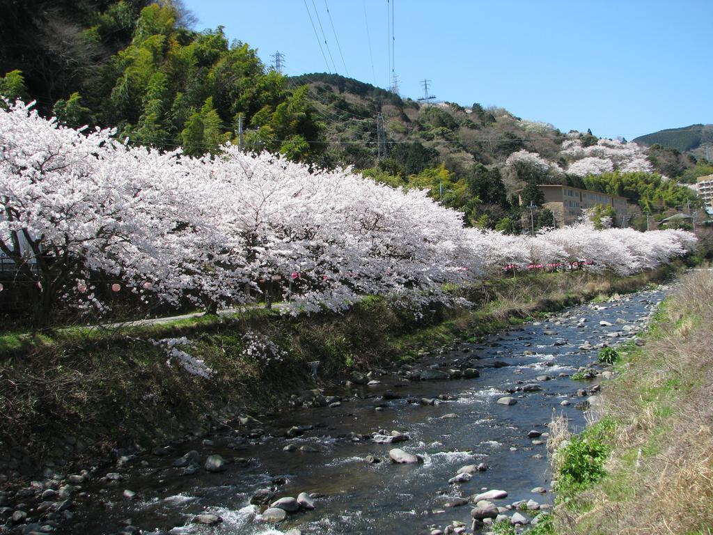 Yugawara Onsen Kawasegien Isuzu Hotel Atami  Exterior photo